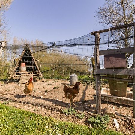 فيلا Gite Champetre Renove Avec Terrasse & Equipements, Proche Pornic - Animaux Acceptes - Fr-1-306-1027 Frossay المظهر الخارجي الصورة