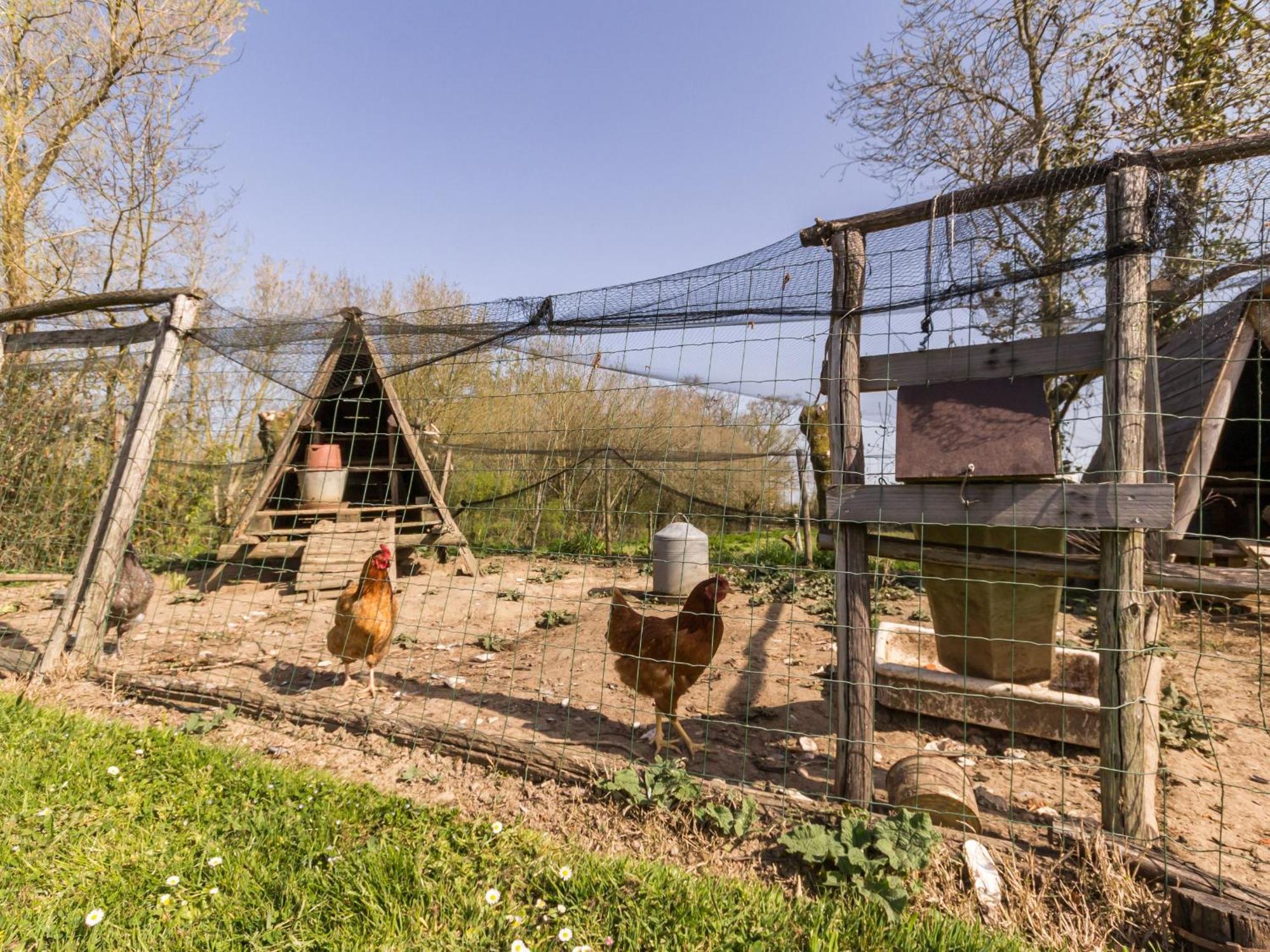 فيلا Gite Champetre Renove Avec Terrasse & Equipements, Proche Pornic - Animaux Acceptes - Fr-1-306-1027 Frossay المظهر الخارجي الصورة